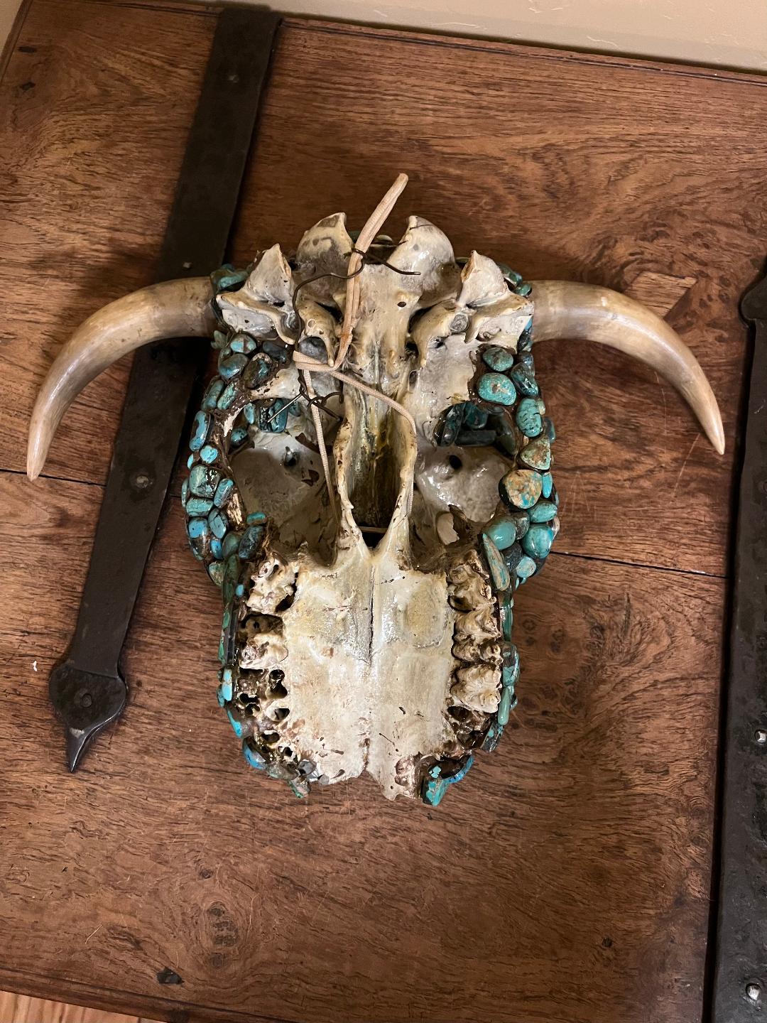 Vintage Cow Skull with Horns and Turquoise Stones One of A Kind